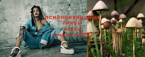 гашик Лиски