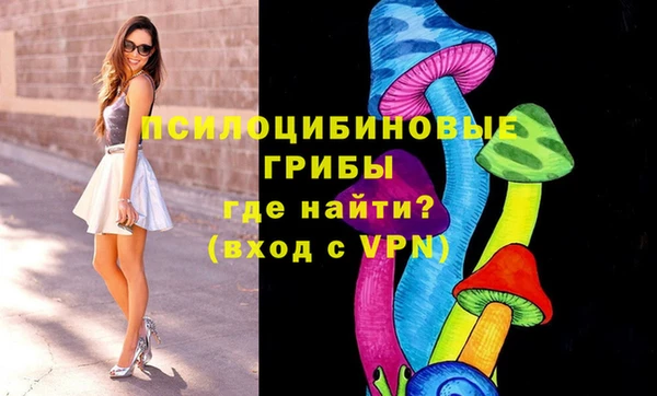 spice Магадан