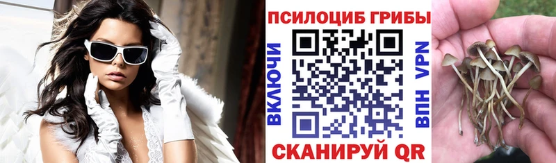 Галлюциногенные грибы GOLDEN TEACHER  купить наркотики сайты  Яровое 
